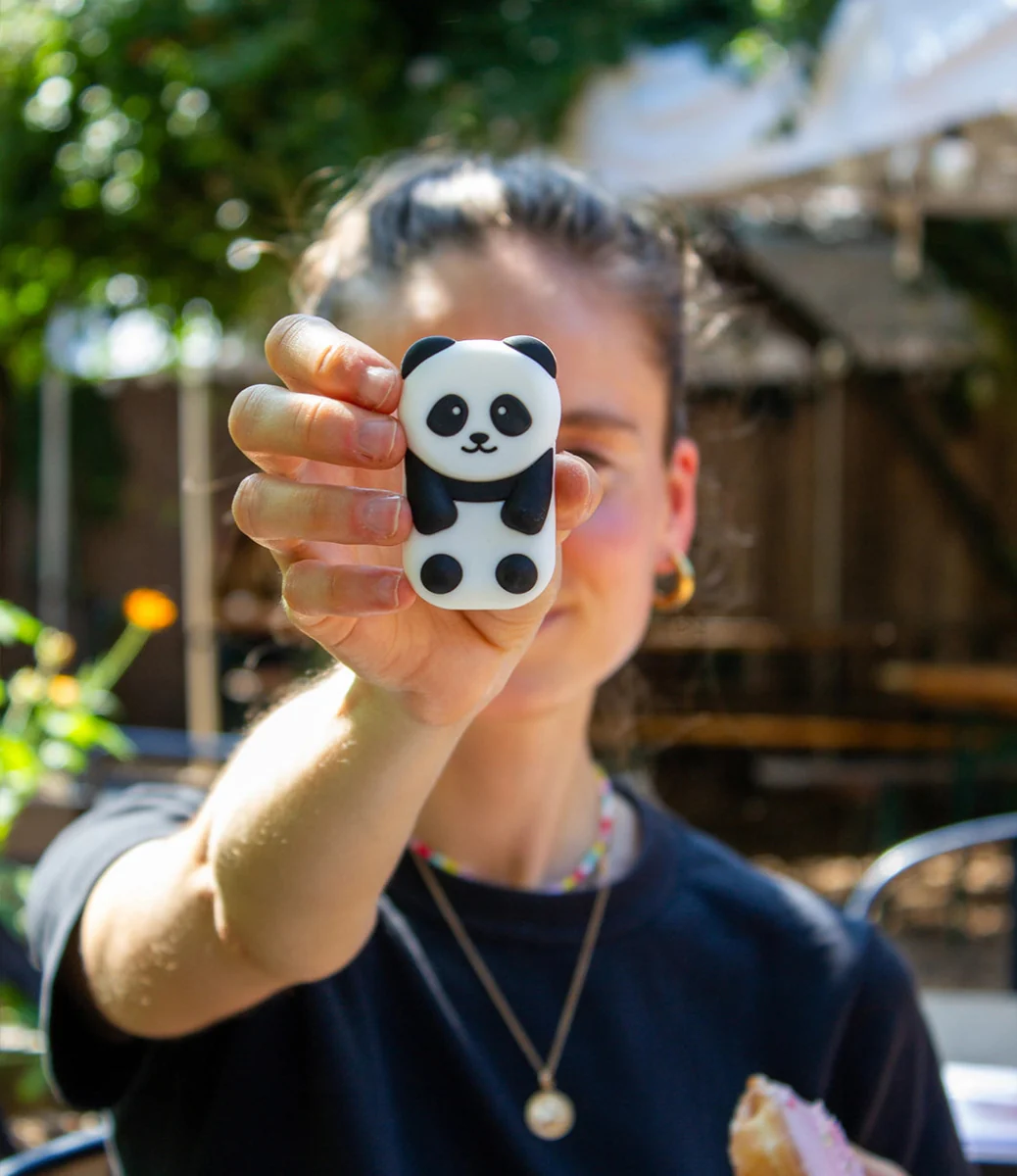 Walkie Panda - Image 4