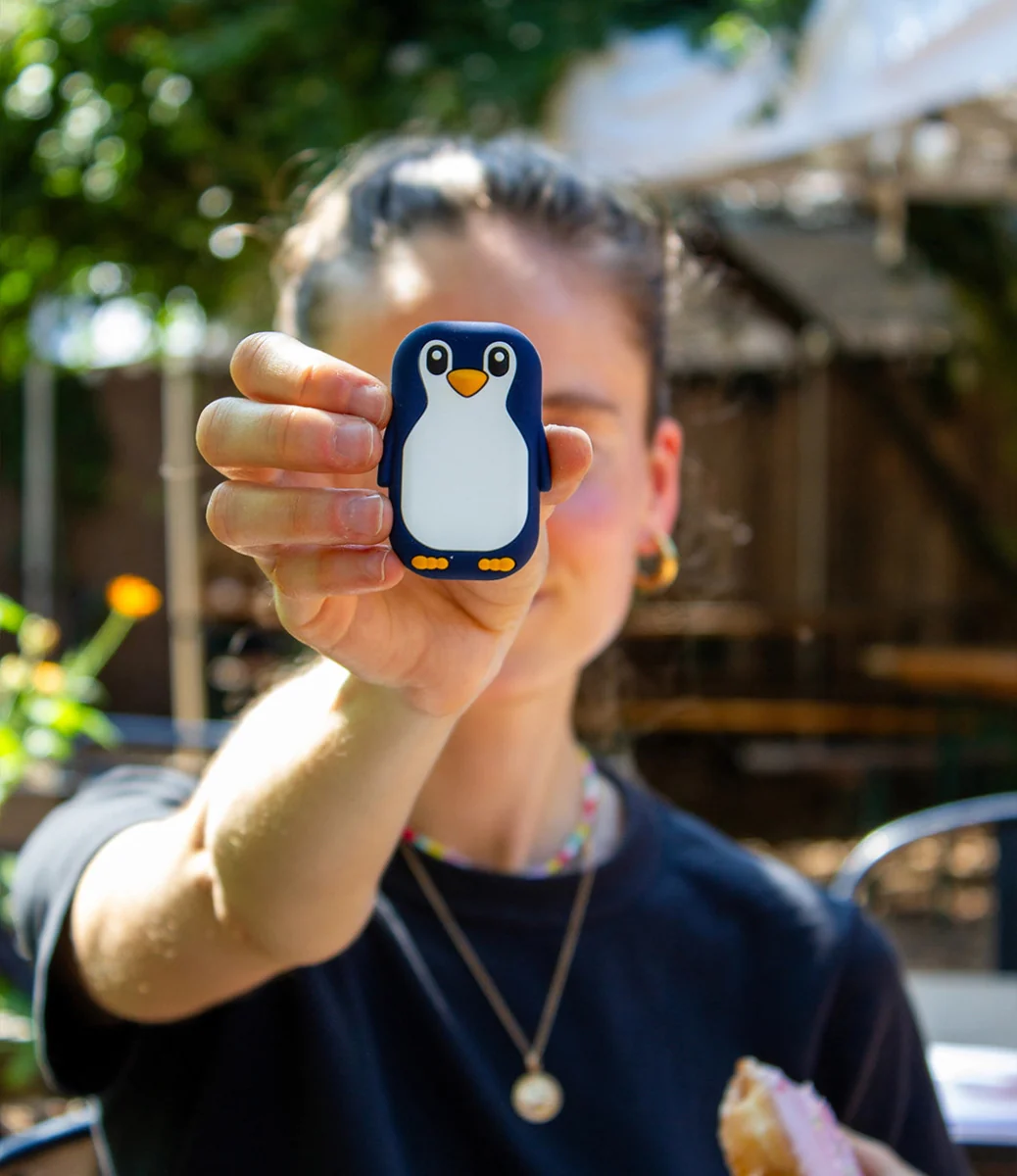 Walkie Pingouin - Image 4